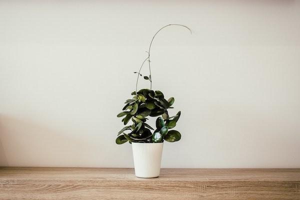人壽保險救援電話是多少？救援免費(fèi)幾次？