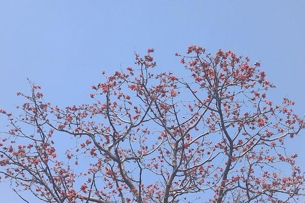 大地百萬醫(yī)療怎么樣？有必要買嗎？