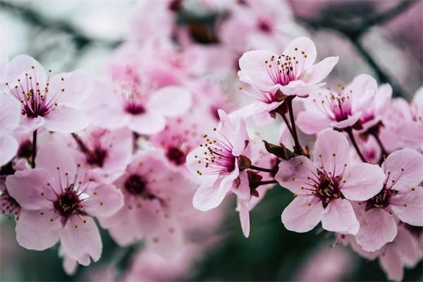 平安百萬醫(yī)療生效時(shí)間是多久？生效后可以報(bào)銷嗎？