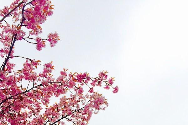 銀行的養(yǎng)老金業(yè)務(wù)是什么？可以買嗎？