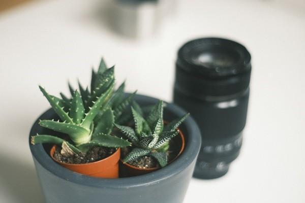垂體瘤百萬醫(yī)療可以報銷嗎？報銷范圍是多大？