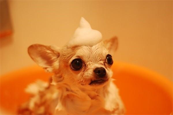 小醫(yī)療和百萬醫(yī)療的區(qū)別是什么？有必要買嗎？