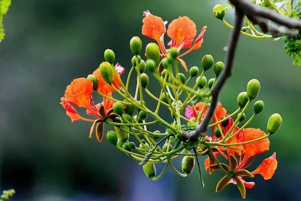 幸福鑫悅一生B款終身年金保險(xiǎn)(分紅型)怎么樣？靠譜嗎？