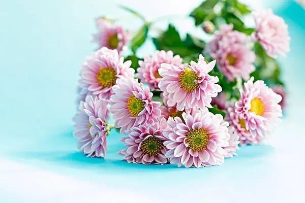 長(zhǎng)城金禧利年金保險(xiǎn)b款怎么樣可靠嗎？交多少年回本？