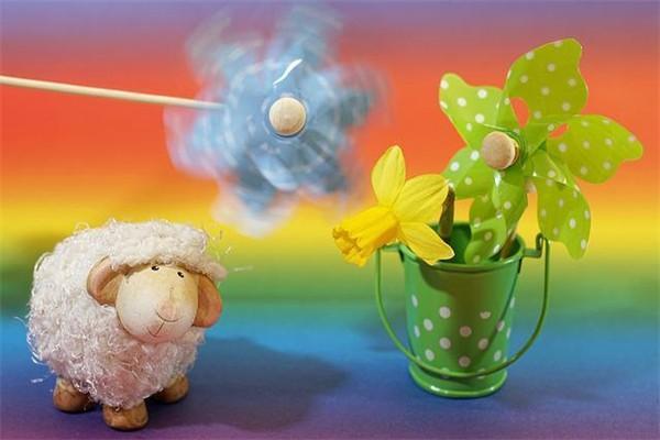 生存年金是指什么的保險(xiǎn)？與確定年金的區(qū)別是什么？