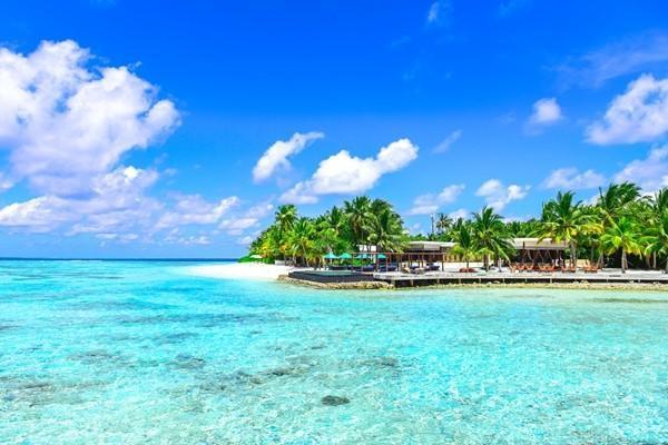 中國人壽15天內(nèi)退保流程復雜嗎？能退多少錢？
