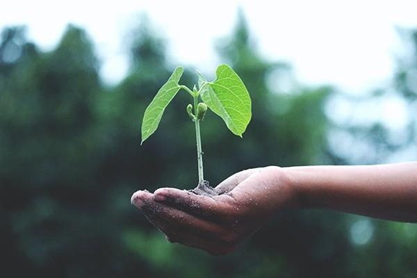 買了意外險骨折了怎樣賠償？賠償款多久到賬？