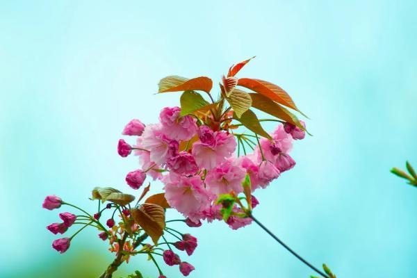 友邦友未來(lái)年金保險(xiǎn)條款是什么？好不好呢？