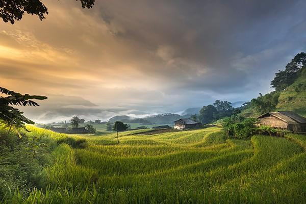 意外險(xiǎn)必須24小時(shí)報(bào)案嗎？報(bào)案時(shí)間有限制嗎？