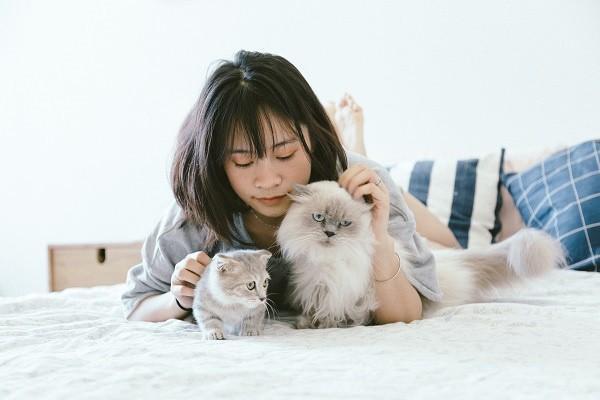 重疾險轉(zhuǎn)換年金是什么意思？怎么計算？