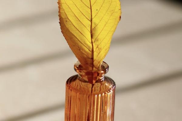 恒安標(biāo)準(zhǔn)金福瑞兩全保險(xiǎn)(分紅型)投保規(guī)則如何？保什么？