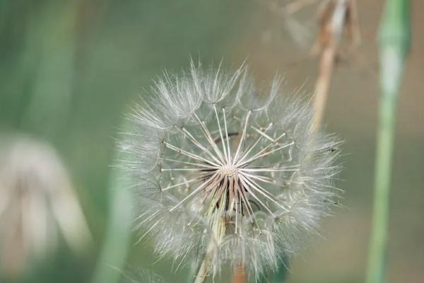 百萬醫(yī)療保險電話號碼是多少？一年要交多少保費？