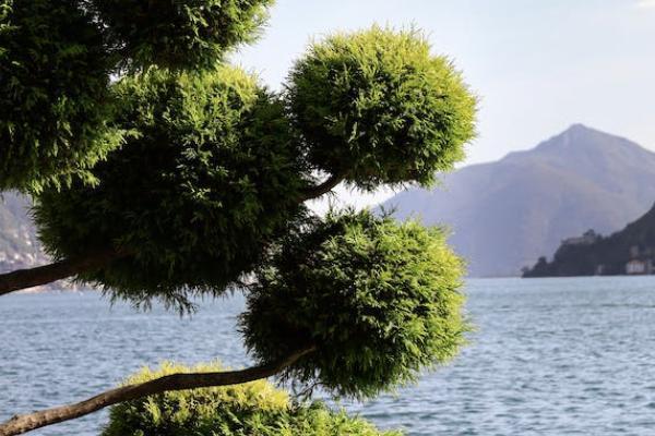 光大永明光明一生養(yǎng)老年金保險(xiǎn)投保規(guī)則如何？有哪些優(yōu)勢(shì)？