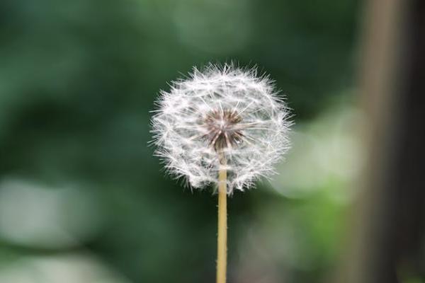 太平福佑金生靠譜嗎？值得買嗎？