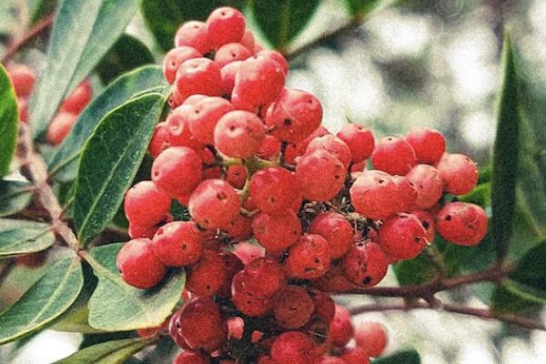 珠江永鑫年年年金保險(xiǎn)怎么樣？靠譜嗎？