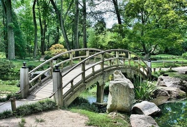 福祿康瑞2018重疾險20年后可以拿回本金嗎？值得買嗎？