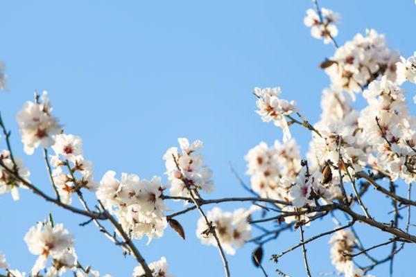 海保福佑金生年金險有什么投保規(guī)則？可以領(lǐng)取的錢有哪些？
