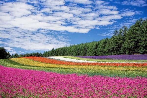 太平洋東方紅財富升年金保險怎么樣？值得購買嗎？