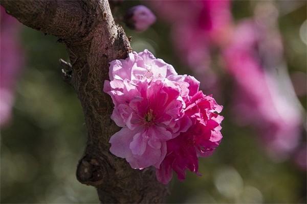 外購(gòu)藥百萬(wàn)醫(yī)療可以報(bào)銷嘛？如何報(bào)銷？