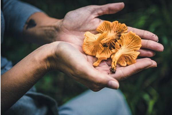 百萬醫(yī)療險(xiǎn)如果意外身亡會(huì)理賠嗎？保障范圍有哪些？