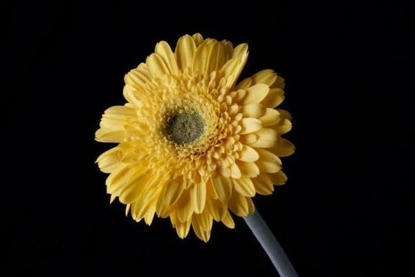 太平盈盛兩全保險b款分紅型怎么樣？保障什么？