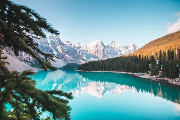太平洋百萬醫(yī)療險保單怎么查詢？查詢要注意什么？