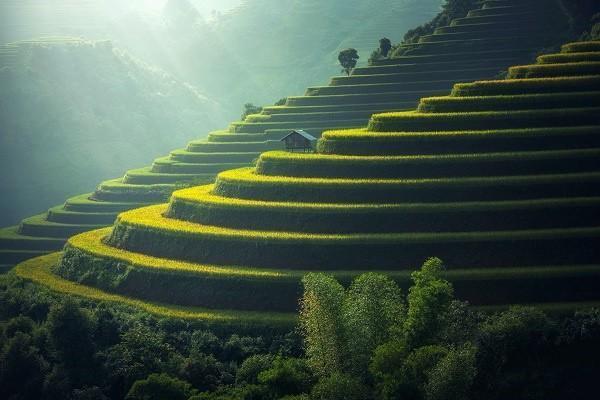 張國立代言的眾安百萬醫(yī)療保險(xiǎn)是真的嗎？有必要買嗎？