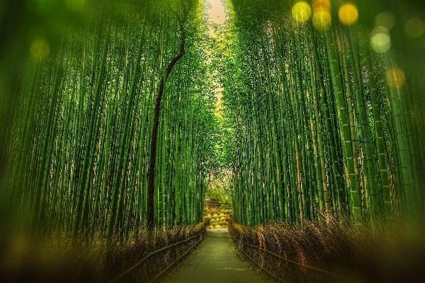 安全責任險和團體意外險有什么區(qū)別？團體意外險有必要買嗎？