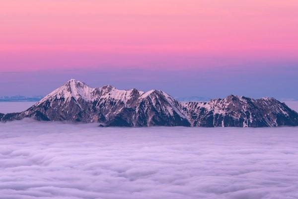 水滴籌百萬醫(yī)療保險怎么退？能退多少？