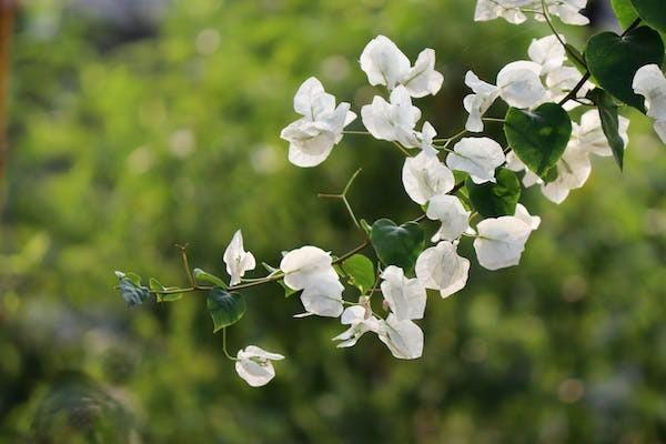泰康尊享世家終身壽險(xiǎn)投保規(guī)則有哪些？風(fēng)險(xiǎn)保額是多少？