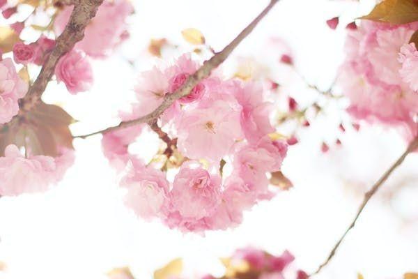 泰康樂增壽終身壽險(xiǎn)怎么樣？保障優(yōu)點(diǎn)是什么？