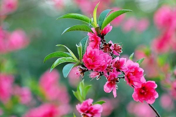 學(xué)生保險怎么查詢是哪個公司的？有一些什么好處？