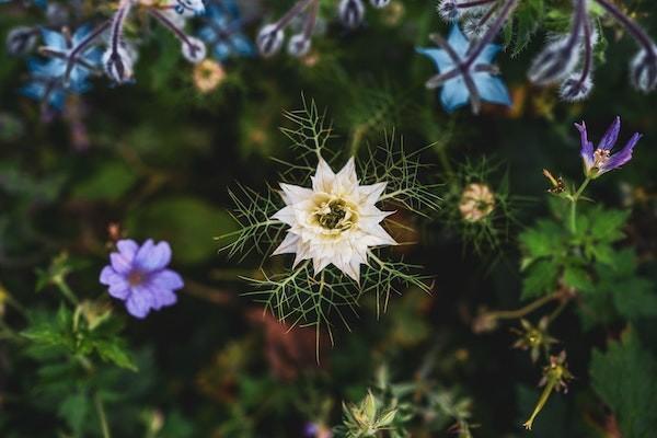 人保學(xué)生保險理賠比例是多少？理賠速度快嗎？