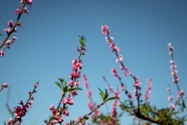 橫琴人壽永恒金生的保障內(nèi)容如何？收益怎么樣？