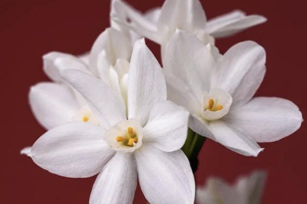 增多多3號(hào)增額終身壽險(xiǎn)下架了嗎？有什么優(yōu)點(diǎn)？