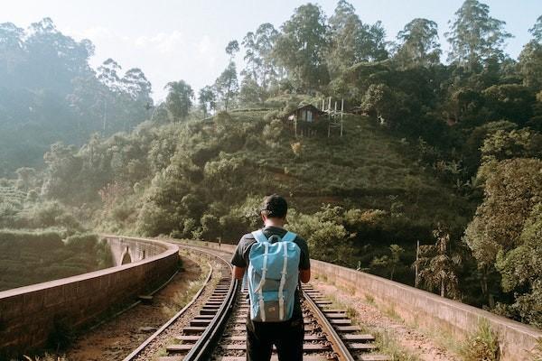100元的意外險狗咬傷能報銷嗎？能報銷多少錢？