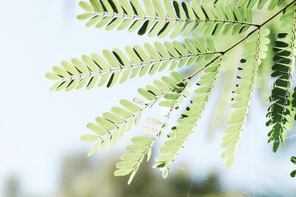 中郵郵保一生2.0版終身壽險(xiǎn)可靠嗎？保障怎么樣？