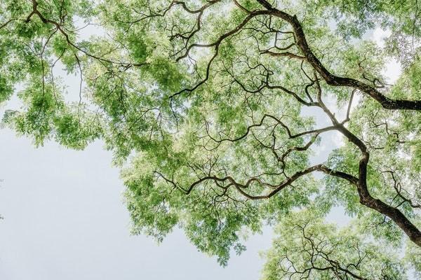 老人死后養(yǎng)老保險多久可以領(lǐng)取？能全額返還嗎？