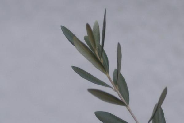 人保i無憂重疾險在哪里買？有必要買嗎？