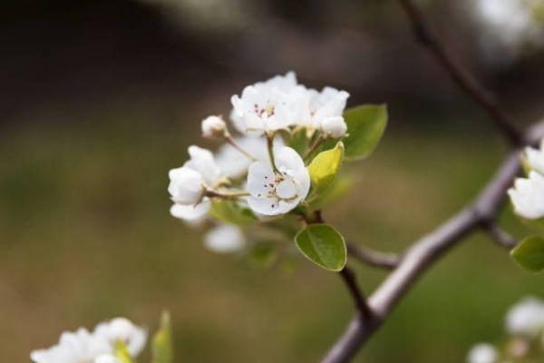 如意久久守護(hù)重大疾病保險(xiǎn)