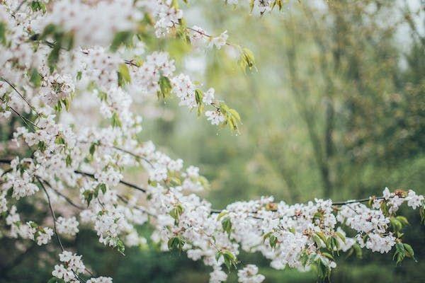 達爾文7號重疾險怎么買？有哪些保障責(zé)任？