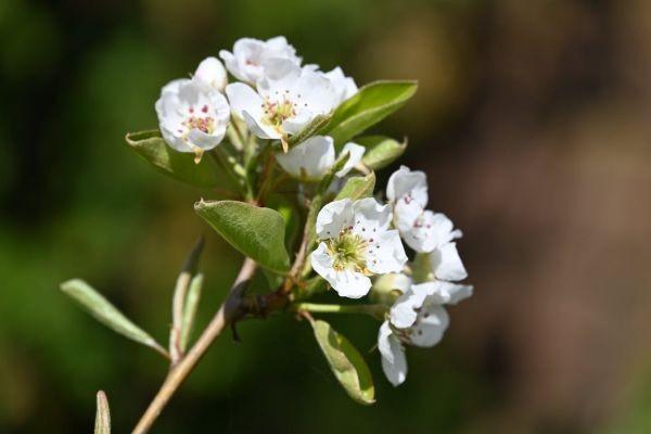 大黃蜂7號和8號的區(qū)別有哪些？誰的保費更便宜？