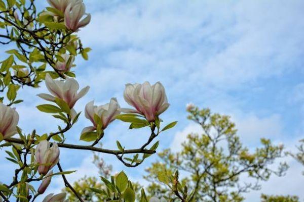 光武7號(hào)有哪些投保規(guī)則？保費(fèi)需要多少？