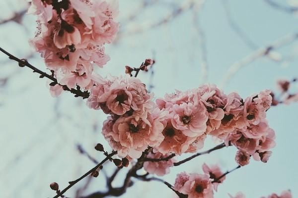 摔傷后再買意外險(xiǎn)會(huì)賠嗎？怎么報(bào)銷？