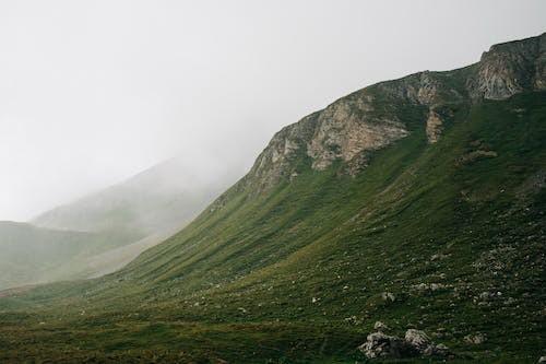 農村養(yǎng)老保險怎么查詢自己交了多少年？查詢不到為什么？