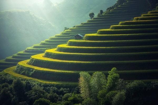 意外保險(xiǎn)復(fù)查費(fèi)用可以報(bào)銷嗎？可以報(bào)銷多少錢？