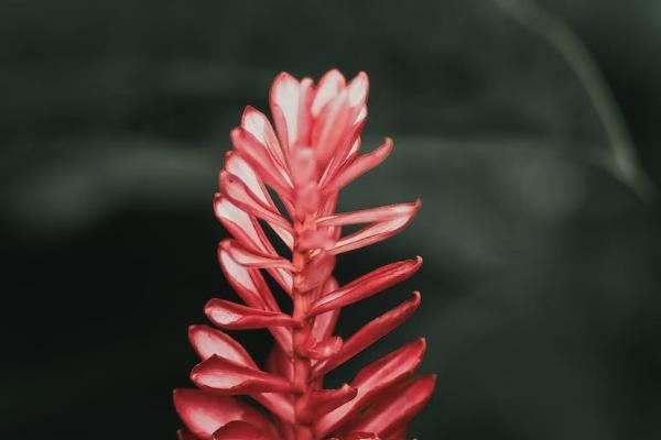 樂享無憂保險(xiǎn)怎么樣？保什么？