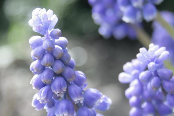 愛享無(wú)憂是重疾險(xiǎn)嗎？保障內(nèi)容有哪些？