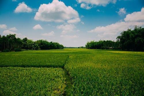 居民醫(yī)療保險交多少年就不用交了？要交多少錢？