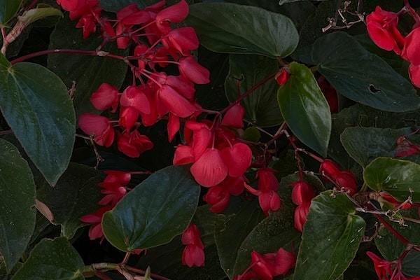 城鄉(xiāng)居民養(yǎng)老保險(xiǎn)什么年齡開始交？要交多少年？